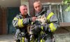 У Сумах із задимленого помешкання пожежники врятували котика (відео)