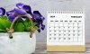 Календар свят та пам’ятних дат у лютому