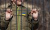 США стали учасником коаліції за повернення українських дітей незаконно депортованих рф