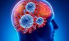 Коронавирус вызывает серьезные нарушения в работе мозга у половины пациентов