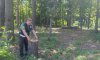 Охтирський агролісгосп має відшкодувати майже 1,5 млн.грн. збитків за незаконний поруб дерев 