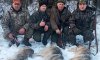На севере Сумщины охотники похвастались, что убили трех волков (фото)