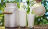У трьох країнаї ЄС спостерігається зниження виробництва молока