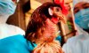 На Сумщині від пташиного грипу загинуло більше сотні домашньої птиці
