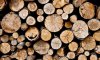 На Сумщині бухгалтерка мерії перерахувала за деревину на 430 тис. грн більше