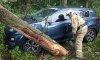 У Стецьківці рятувальники допомогли вивільнити авто, на яке внаслідок негоди впало дерево
