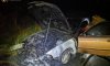 В Сумах пожарные ликвидировали возгорание автомобиля BMW (видео)