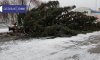 В Лебедине упала главная новогодняя елка