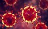Что нужно сумским больницам для борьбы с коронавирусом