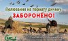 Полювання цьогоріч під забороною - воєнний стан 