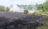 У Сумському районі рятувальники приборкували пожежу разом з лісівниками та аграріями