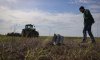 Цьогоріч в Україні розмінували 108 тисяч гектарів сільськогосподарських земель