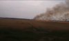 На Сумщине от разряда молнии загорелось пшеничное поле (видео)