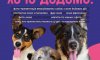 У Сумах пройде виставка-прилаштування собак з притулку “Хочу додому!”