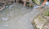 У Сумах виявили незаконний скид каналізаційних стоків