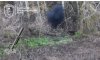 Прикордонники на Сумському напрямку знищили 120-мм міномет російських окупантів
