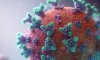 На Сумщині 7 смертей від коронавірусу за тиждень