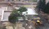 В Сумах уничтожают деревья на Театральной площади (видео)