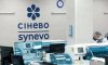Головний офіс «Сінево Україна» в Києві арештовано 