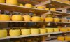 У квітні зріс експорт та імпорт сирів