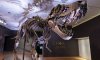 У Швейцарії скелет тиранозавра продали на аукціоні за $6 мільйонів