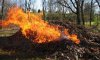 В Сумах будут гонять сжигателей листвы при помощи квадрокоптера