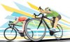 Сумчан приглашают на чемпионат города по велоспорту