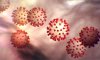 Вірус "собачого грипу" мутує: є небезпека для людей