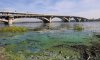 Україна вивчає досвід Нідерландів для модернізації водного сектору