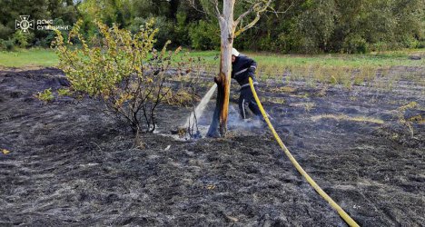 На Сумщині вогнеборці Сумщини 17 разів ліквідовували загоряння сухої рослинності