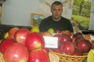 Запретный плод. Александр Кривцов снял у себя в саду самое тяжелое в области яблоко — 560 г.