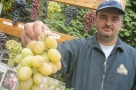 Изюмительный результат. Виталий Фоменко вырастил рекордную гроздь винограда весом 2,4 кг.