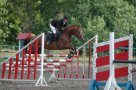 Самое «конное» место в Сумах — Веретеновка, где находится конноспортивная школа и процветает конный спорт.