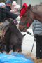 Живых коня и пони можно увидеть в парке «Сказка», а в новогодние праздники они катали народ на пл. Независимости.
