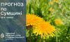 Нарешті на Сумщині прогнозують потепління