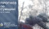 Що прогнозують сумські синоптики до кінця тижня?