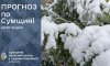 На Сумщині прогнозують сніг і зниження температури