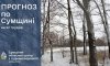Сумські синоптики прогнозують нічні морози до -14°С