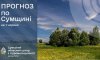 Синоптики розповіли, якою буде погода на Сумщині в перші дні червня