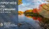Синоптики спрогнозували погоду в Сумах та області до кінця тижня