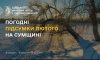 На Сумщині підбили погодні підсумки лютого