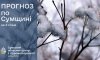 На вихідних на Сумщині прогнозують похолодання, сніг та ожеледицю