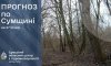 На Сумщині прогнозують потепління до +9°С