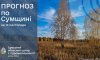 Що прогнозують сумські синоптики до кінця тижня?