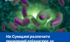 На Сумщині розпочато посилений епіднагляд за холерою