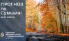Прогноз погоди по Сумщині на 26-28 жовтня: очікується вітер та дощі