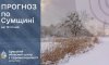 Морози тримаються: на Сумщині очікується до 20 градусів нижче нуля