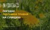 На Сумщині підбили погодні підсумки травня