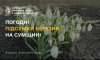 На Сумщині підбили погодні підсумки березня