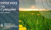 На Сумщині прогнозують поступове потепління, але із заморозками